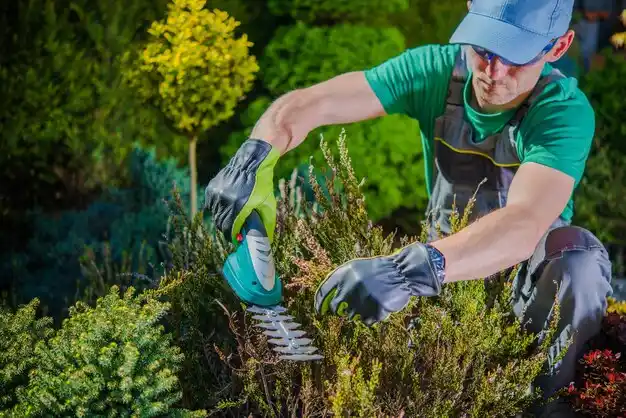 landscaping services Willoughby